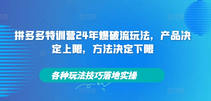 拼多多特训营24年爆破流玩法，产品决定上限，方法决定下限，各种玩法技巧落地实操-则成副业项目资源站