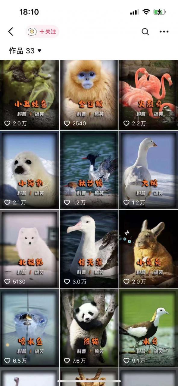 动物科普解说项目,撸创作者伙伴计划收益,保姆级实战教程-则成副业项目资源站