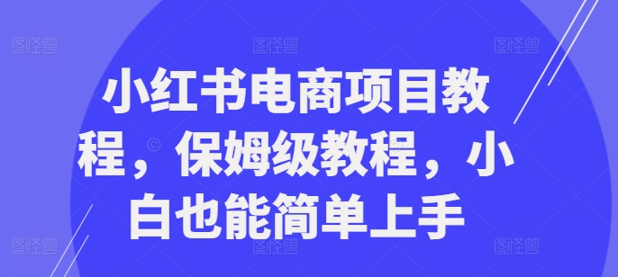 小红书电商项目教程,保姆级教程,小白也能简单上手-则成副业项目资源站