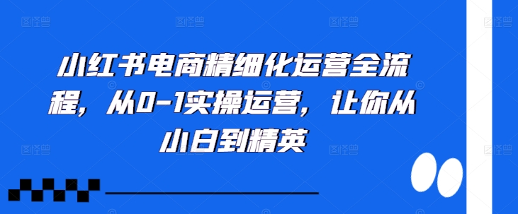 小红书电商精细化运营全流程，从0-1实操运营，让你从小白到精英-则成副业项目资源站