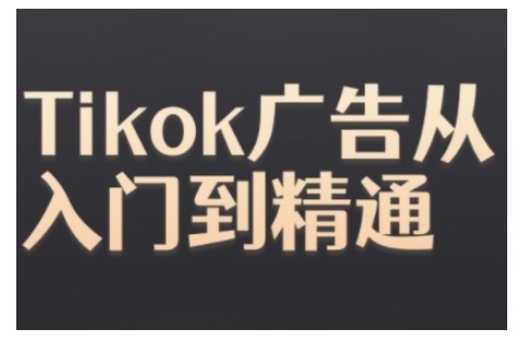 Tiktok Ads实操教程，Tiktok广告从入门到精通-则成副业项目资源站