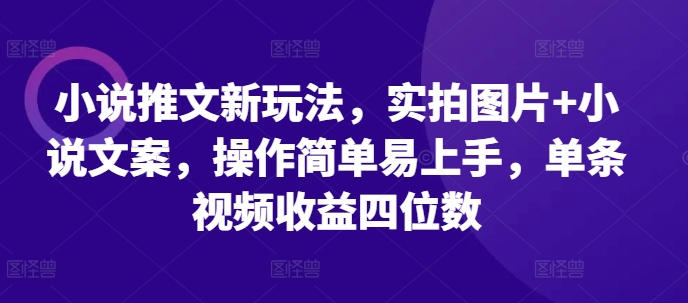 小说推文新玩法,实拍图片+小说文案,操作简单易上手,单条视频收益四位数-则成副业项目资源站