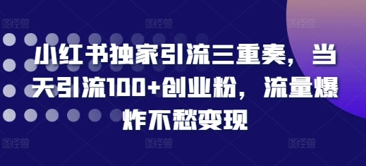 小红书独家引流三重奏，当天引流100+创业粉，流量爆炸不愁变现【揭秘】-则成副业项目资源站