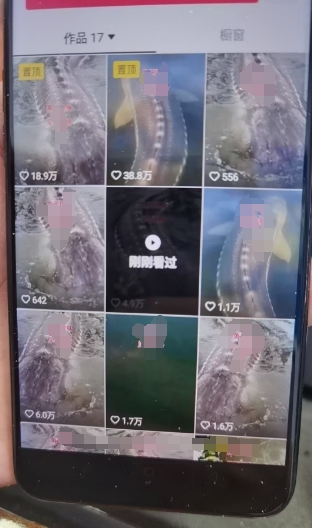 外面卖399的国学佛像原创暴力起号技术,快速起号,7天可达到一个万粉号-则成副业项目资源站