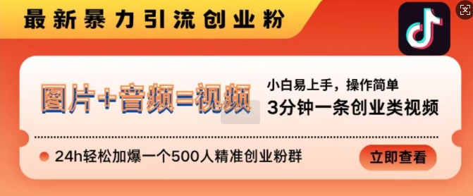 抖音最新暴力引流创业粉，3分钟一条创业类视频，24h轻松加爆一个500人精准创业粉群【揭秘】-则成副业项目资源站