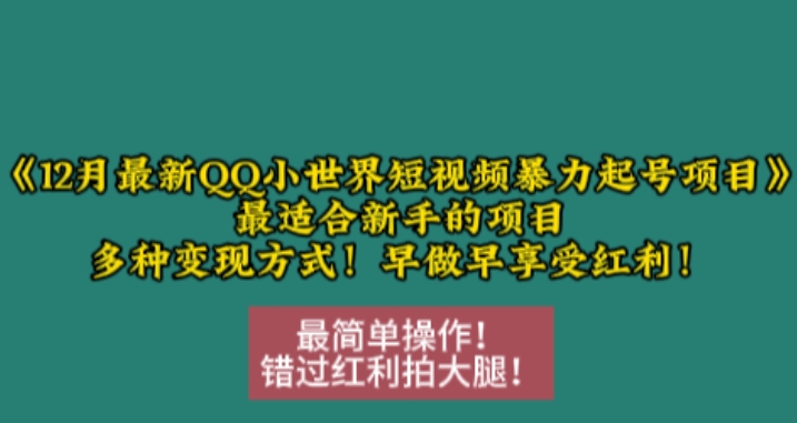 12月最新QQ小世界短视频暴力起号项目,最适合新手的项目,多种变现方式-则成副业项目资源站