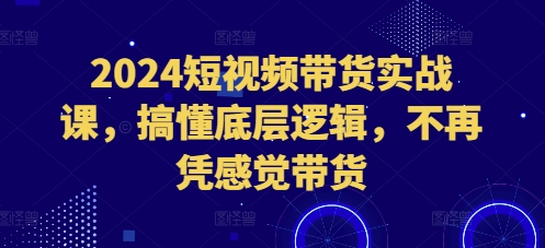 2024短视频带货实战课，搞懂底层逻辑，不再凭感觉带货-则成副业项目资源站