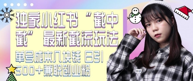 最新小红书截流玩法 独家截中截 单号成本几块钱 日引500+CY粉JZ粉-则成副业项目资源站