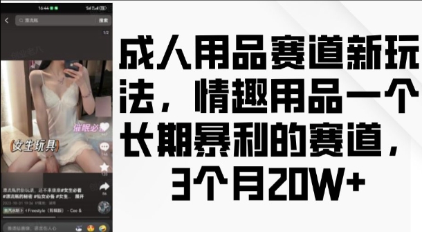 成人用品赛道新玩法,情趣用品一个长期暴利的赛道,3个月收益20个【揭秘】-则成副业项目资源站