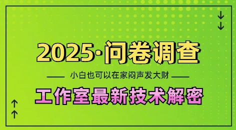 2025问卷调查最新工作室技术解密：一个人在家也可以闷声发大财，小白一天2张，可矩阵放大【揭秘】-则成副业项目资源站