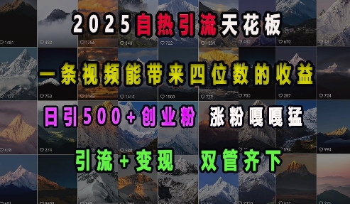 2025自热引流天花板,一条视频能带来四位数的收益,引流+变现双管齐下,日引500+创业粉,涨粉嘎嘎猛-则成副业项目资源站