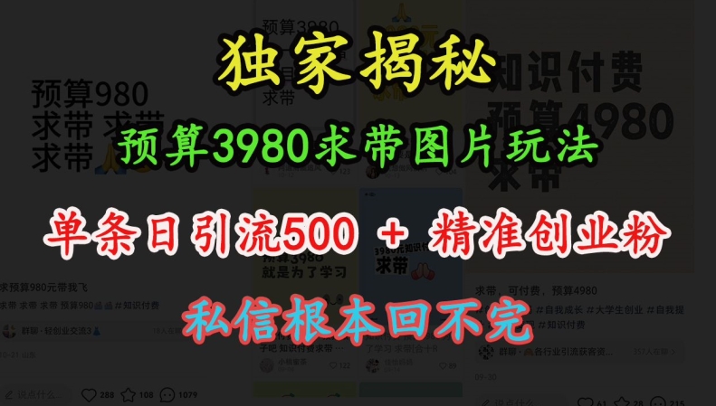 预算3980求带 图片玩法，单条日引流500+精准创业粉，私信根本回不完-则成副业项目资源站