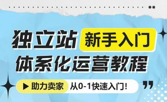 独立站新手入门体系化运营教程，助力独立站卖家从0-1快速入门!-则成副业项目资源站