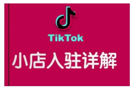TikTok跨境小店运营全攻略,帮助你独立运营TK跨境小店的能力,实现销量增长-则成副业项目资源站