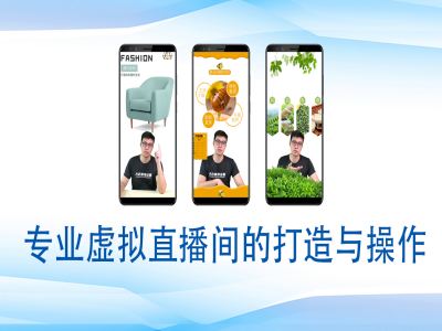 个人虚拟直播间的搭建与操作，专业虚拟直播间的打造与操作-则成副业项目资源站