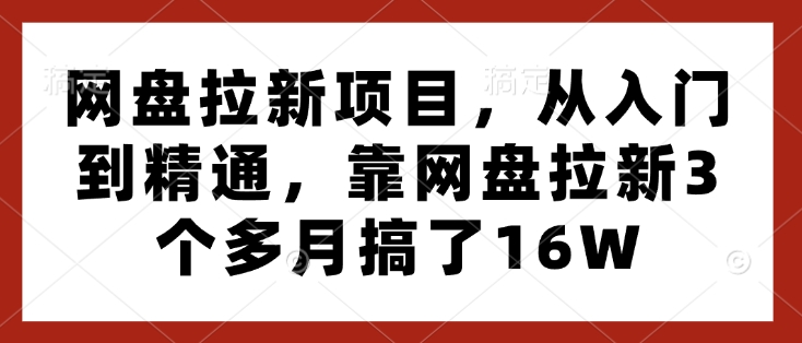网盘拉新项目,从入门到精通,靠网盘拉新3个多月搞了16W-则成副业项目资源站