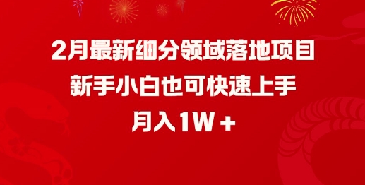 2月最新细分领域落地项目,新手小白也可快速上手,月入1W-则成副业项目资源站