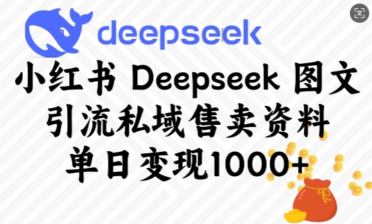 小红书Deepseek图文引流私域售卖资料，单日变现多张-则成副业项目资源站