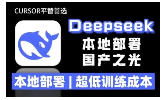 2025年deepseek R1 大型模型本地安装部署(文件+教程)本地部署,超低训练成本-则成副业项目资源站
