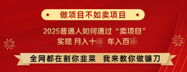 必看,做项目不如卖项目,2025普通人如何通过“卖项目”实现月入十个,年入百个-则成副业项目资源站