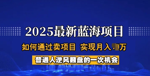 2025蓝海项目,普通人如何通过卖项目,实现月入过W,全过程【揭秘】-则成副业项目资源站