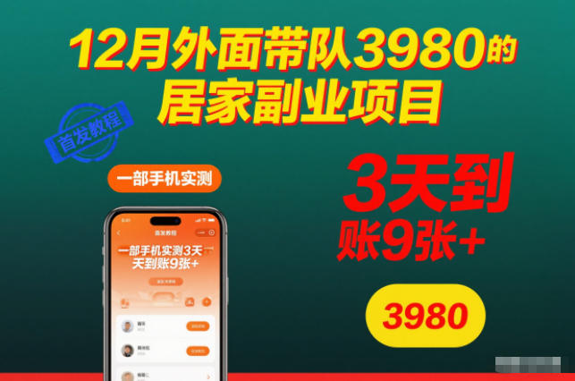 12月外面带队3980的居家副业项目，一部手机实测3天到账9张+，首发教程【揭秘】-则成副业项目资源站
