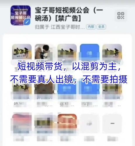 宝子哥头部团队短视频带货，以混剪为主，不需要真人出镜，不需要拍摄【更新12月】-则成副业项目资源站