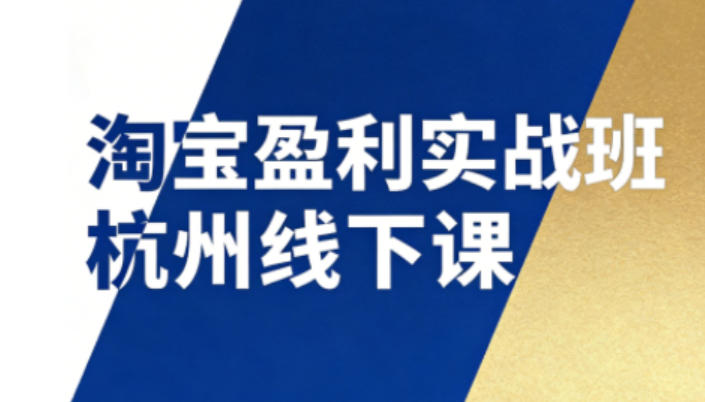 淘宝盈利实战班杭州线下课12月26-28日（音频+字幕），帮你掌握SOP流程+12门核心技术-则成副业项目资源站