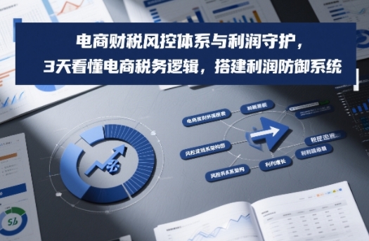 电商财税风控体系与利润守护，3天看懂电商税务逻辑，搭建利润防御系统-则成副业项目资源站