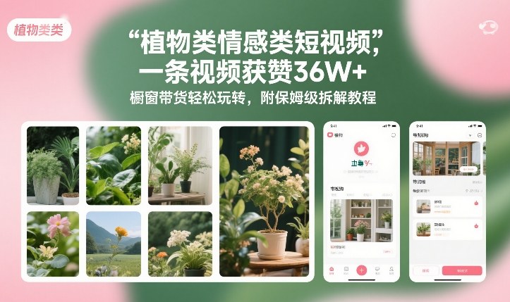 植物类情感类短视频，一条视频获赞36W+，橱窗带货轻松玩转，附保姆级拆解教程-则成副业项目资源站