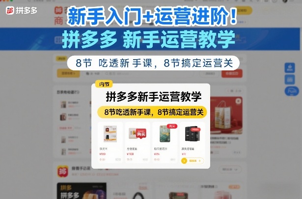 新手入门+运营进阶！拼多多新手运营教学，8节吃透新手课，8节搞定运营关-则成副业项目资源站