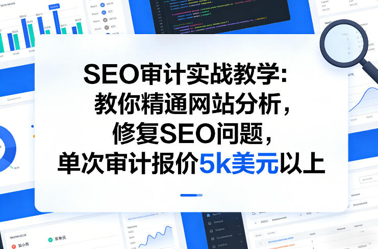 SEO审计实战教学：教你精通网站分析，修复SEO问题，单次审计报价5k美元以上-则成副业项目资源站