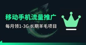 手机流量领取推广_每月一轮，刚需类的长期项目-则成副业项目资源站