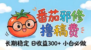 番茄撸金术:日入300+稳如泰山!独家玩法曝光,操作门槛极低,无需经验,小白闭眼上车【揭秘】-则成副业项目资源站