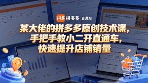 某大佬的拼多多原创技术课，手把手教小二开直通车，快速提升店铺销量-则成副业项目资源站