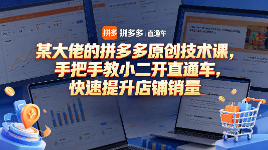 某大佬的拼多多原创技术课，手把手教小二开直通车，快速提升店铺销量-则成副业项目资源站