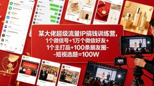 某大佬超级流量IP搞钱训练营，1个微信号+1万个微信好友+1个主打品+100条朋友圈-短视选题=100W-则成副业项目资源站