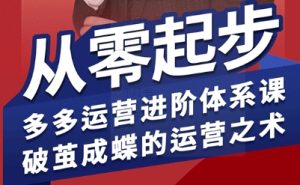 拼多多运营进阶系统课，从零起步，多多运营进阶体系课，破茧成蝶的运营之术（更新26年4月）-则成副业项目资源站