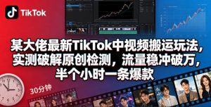 某大佬最新TikTok中视频搬运玩法，实测破解原创检测，流量稳冲破万，半个小时一条爆款-则成副业项目资源站