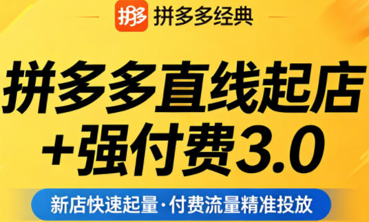 拼多多直线起店+强付费3.0，教你稳定起店、高效控投产、破解流量瓶颈（更新4月）-则成副业项目资源站