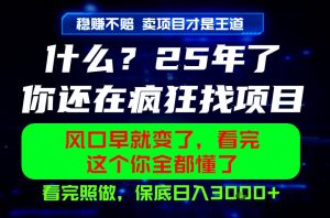 26年，请不要疯狂的找项目做了！卖项目才是真的稳賺不赔，看完照做，保底日入1k+【揭秘】-则成副业项目资源站