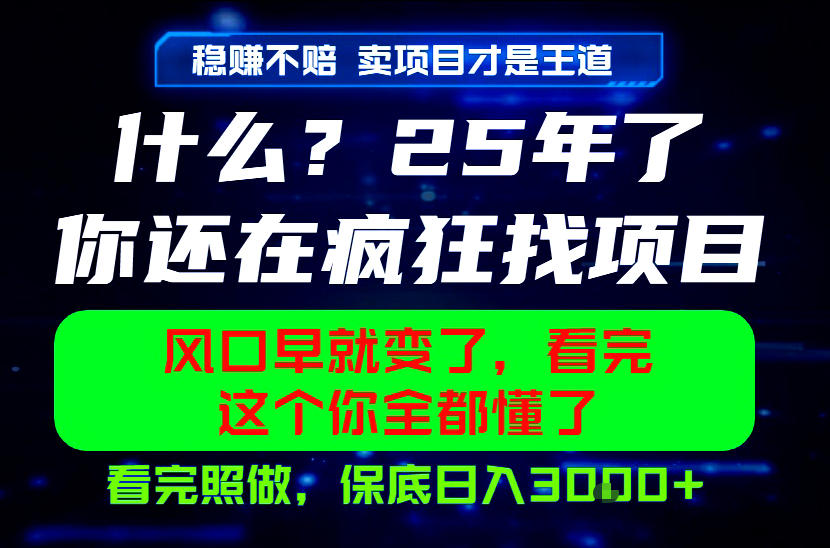 26年，请不要疯狂的找项目做了！卖项目才是真的稳賺不赔，看完照做，保底日入1k+【揭秘】-则成副业项目资源站