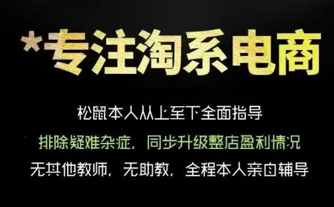 松鼠会电商VIP课程，从基础布局到高阶优化，助你掌握淘宝运营逻辑，提升店铺流量与转化-则成副业项目资源站
