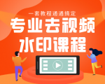 专业去视频水印教程 静态水印、动态水印、文字水印、图片水印一套教程通通搞定-则成副业项目资源站