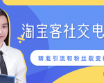 某站内部课程：淘宝客社交电商裂变，精准引流和粉丝裂变模式详解（共6节视频）-则成副业项目资源站