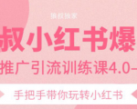 狼叔小红书爆款推广引流训练课4.0,手把手带你玩转小红书-则成副业项目资源站