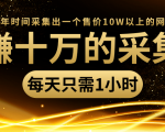 年赚十万的采集站,每天却只需要1小时,一年时间采集出一个售价10W以上的网站-则成副业项目资源站