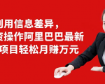 利用信息差异,零投资操作阿里巴巴最新管道项目轻松月赚10000+-则成副业项目资源站