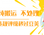 抖音纯搬运 不处理 小技巧,30秒发一个作品,避免违规评级秒过豆荚-则成副业项目资源站