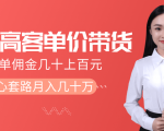 抖音高单价带货项目,一单佣金几十上百元,核心套路月入几十万(共3节)-则成副业项目资源站